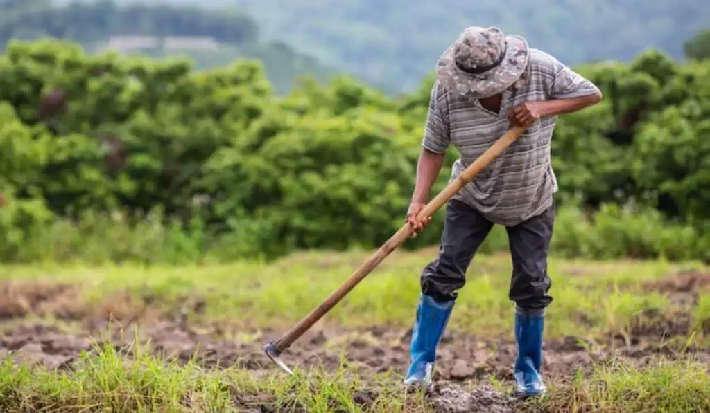 Así están las apuestas para el crecimiento de la economía del primer trimestre del 2024 Recuperación de Colombia