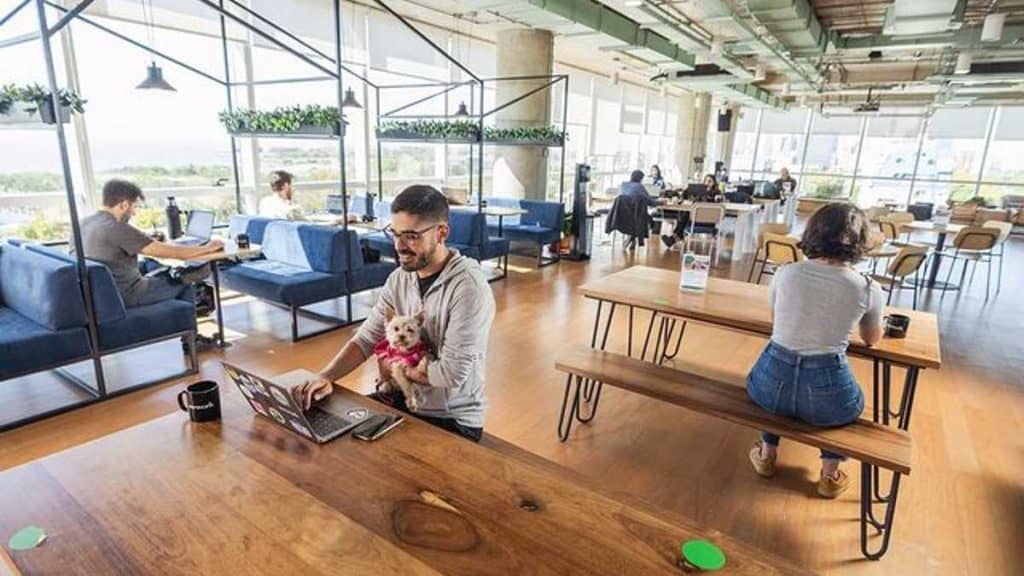 Espacios de trabajo
