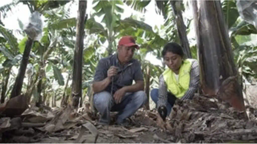 10 proyectos que impulsan la agricultura contarán con respaldo de WFP Colombia Proyectos impulsados por WFP en Colombia