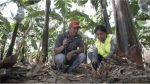 Proyectos impulsados por WFP en Colombia