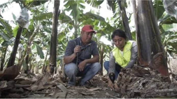 Proyectos impulsados por WFP en Colombia Proyectos impulsados por WFP en Colombia