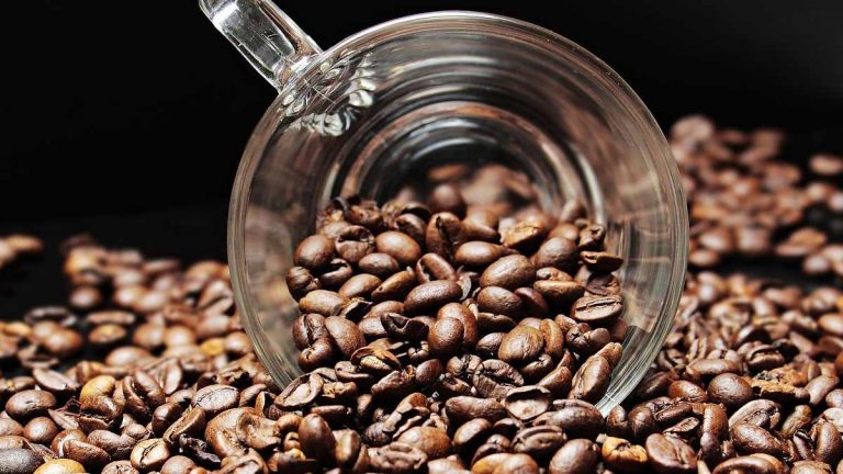 Caída del precio del café