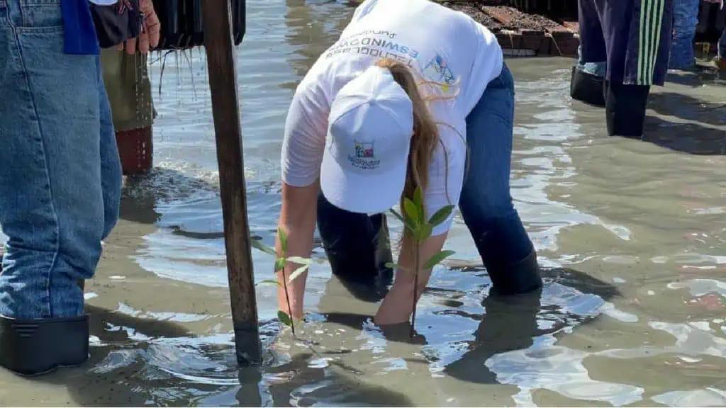 Con apoyo de Tecnoglass, buscan proteger la ciénaga de Mallorquín en Barranquilla Siembra de la ciénaga de Mallorquín con apoyo de Tecnoglass