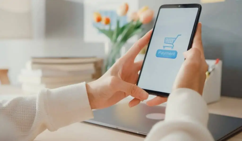 Dropshipping: e-commerce para iniciar un negocio digital sin hacer inversión Dropshipping