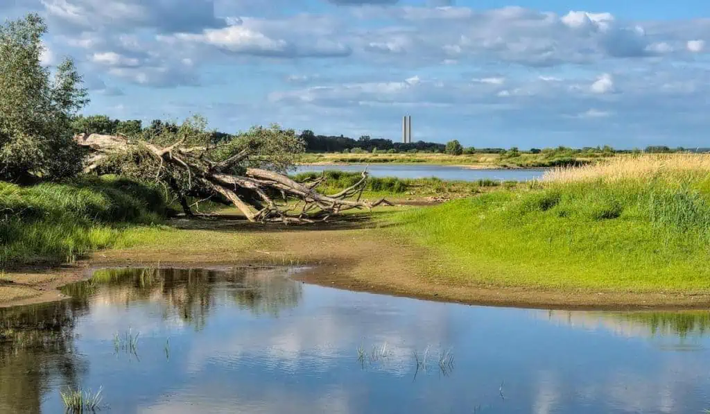‘Fenómeno de El Niño’ en Échale Corriente, el pódcast del Grupo Energía Bogotá Pese a Fenómeno de El Niño, Colombia tendría fuertes lluvias a inicios de 2024