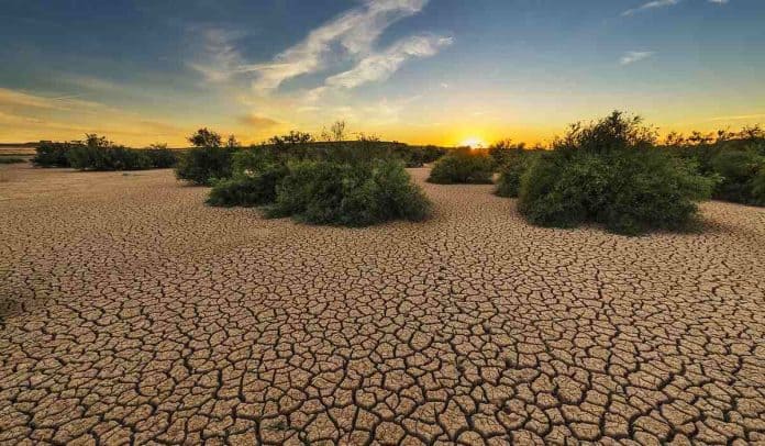 Fenómeno de El Niño: ¿Cómo mitigar los riesgos climatológicos en su empresa?