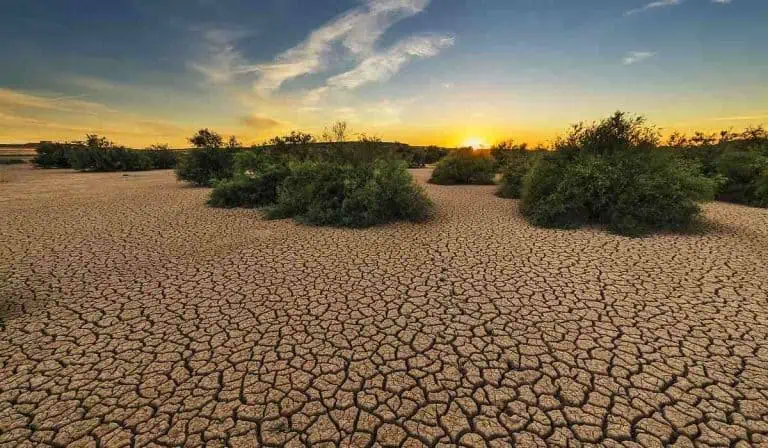 Advertencia por posible sequía en Colombia: lo que se anticipa para el clima del país