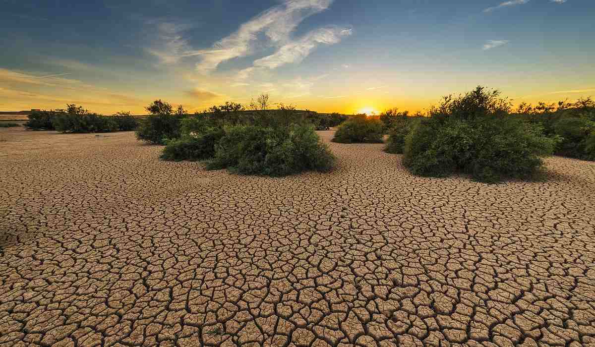 Home - Valora Analitik Advertencia por posible sequía en Colombia: lo que se anticipa para el clima del país