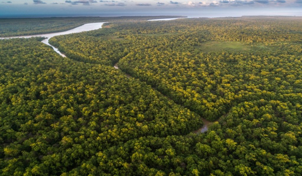 CAF invertirá US$2.000 millones para proteger la Amazonía