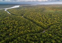 Procuraduría pide anular resolución indígena que permitiría minería en reserva de la Amazonía