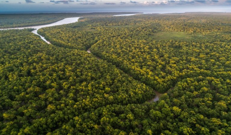 Procuraduría pide anular resolución indígena que permitiría minería en reserva de la Amazonía