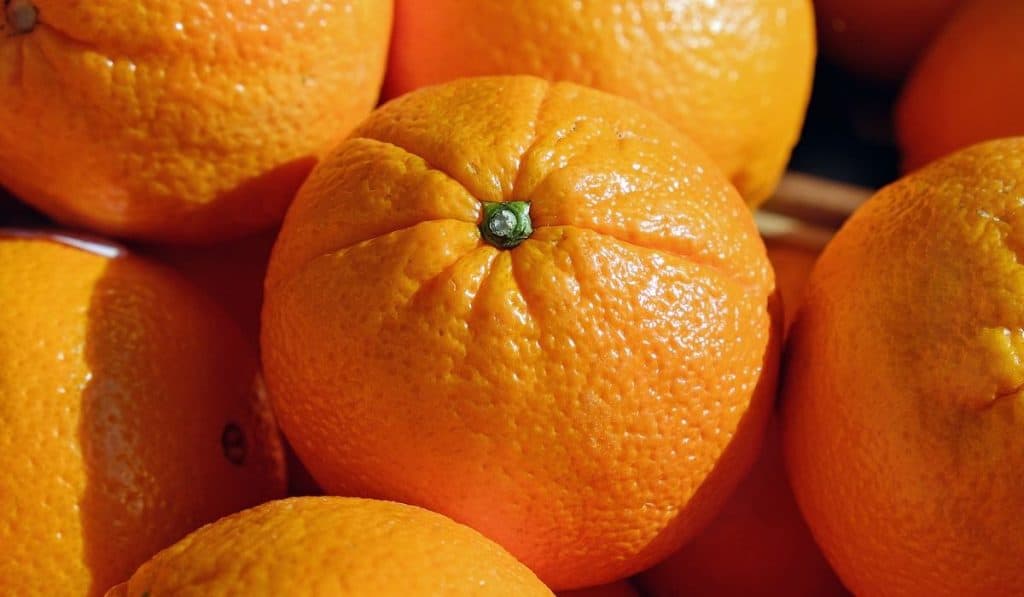 Precio de los alimentos en Colombia sigue a la baja