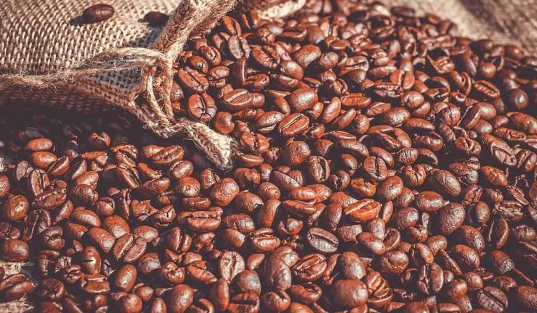 Producción de café en Colombia
