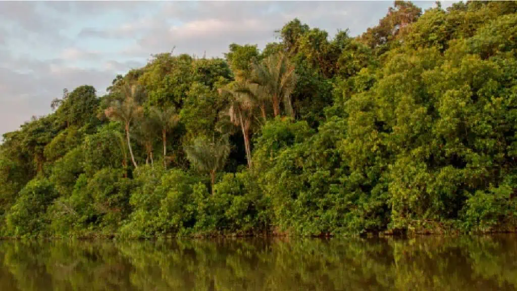 Minambiente publica borrador de decreto para crear reservas naturales temporales Reservas naturales temporales