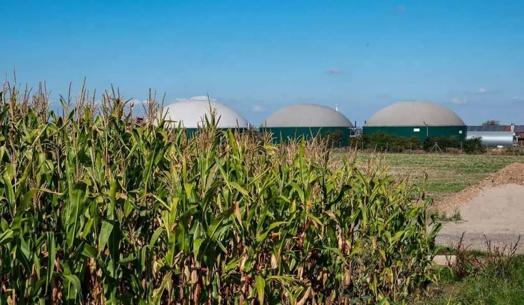 Soluciones sostenibles frente al riesgo de desabastecimiento de gas en Colombia Así se impulsa la producción de biogás y biometano en Colombia