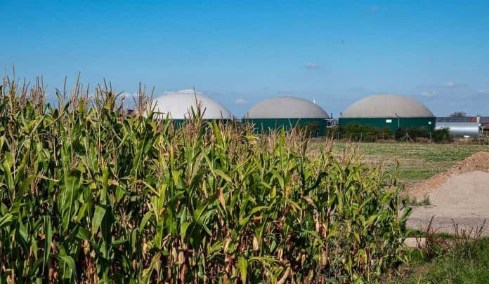 Así se impulsa la producción de biogás y biometano en Colombia