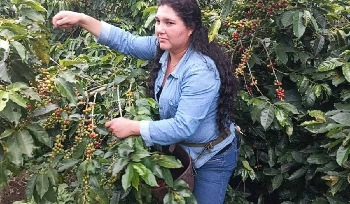 Café en Colombia