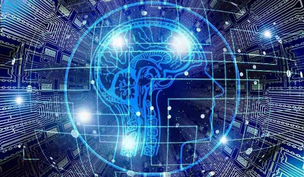 Libros de la semana: hacia la construcción de sostenibilidad y cerebro optimista Cerebro humano