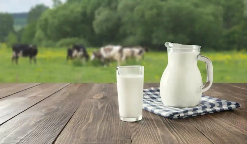 Colanta anuncia rebaja de $200 en productos de leche pasteurizada Colanta