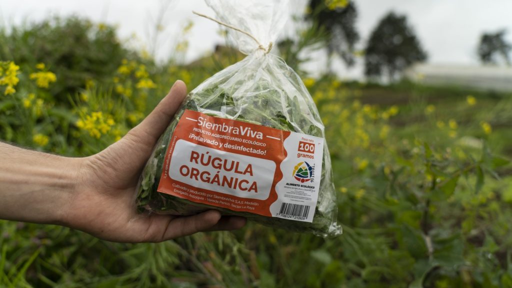 Inversiones: Acumen destinará más de US$4 millones para financiar empresas en Latinoamérica