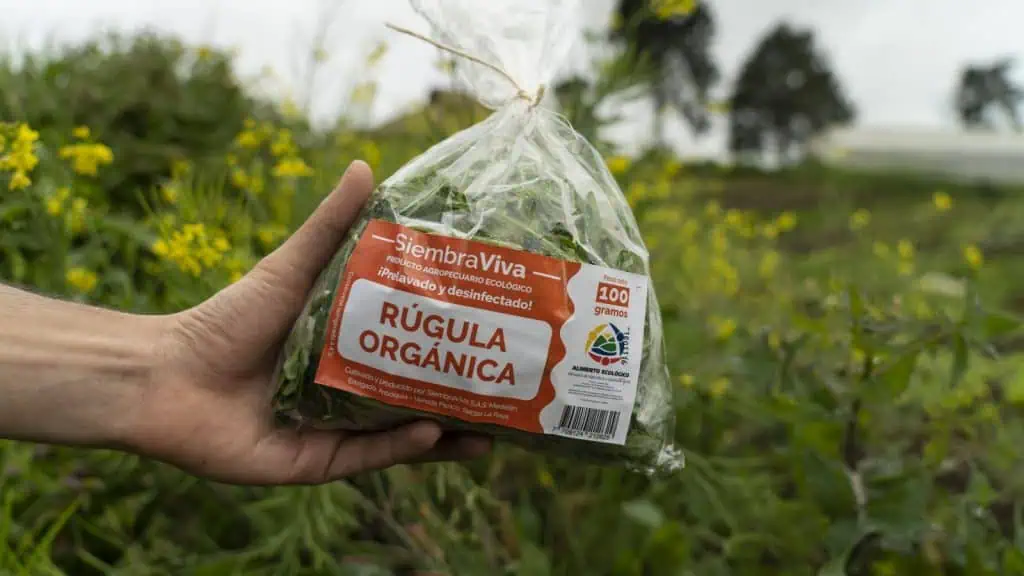 Inversiones: Acumen destinará más de US$4 millones para financiar empresas en Latinoamérica Inversiones: Acumen destinará más de US$4 millones para financiar empresas en Latinoamérica
