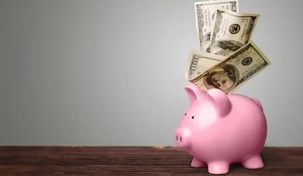 Dollarize permite abrir una cuenta de ahorro en dólares en Estados Unidos desde Latinoamérica Ahorro en dólares