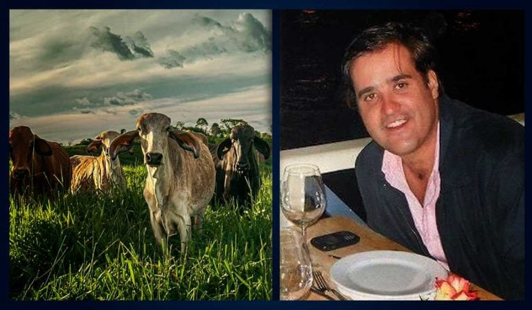 Afectados por “pirámide ganadera” de Felipe Rocha recibieron el 100 % de sus reclamaciones: esto sigue en el proceso Felipe Rocha, representante legal de Achury Viejo - pirámide ganadera