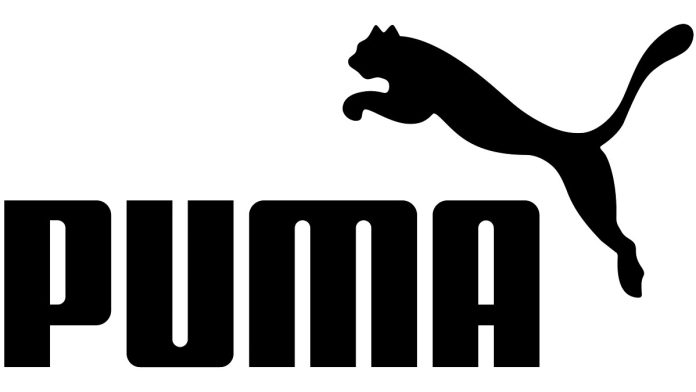 Historia de Puma Puma