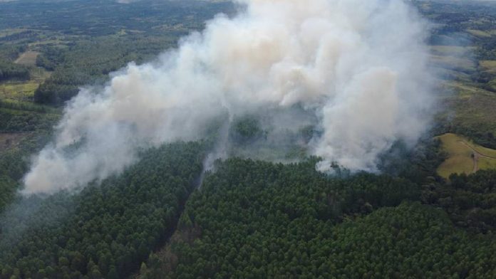 Incendios forestales Smurfit Kappa Colombia