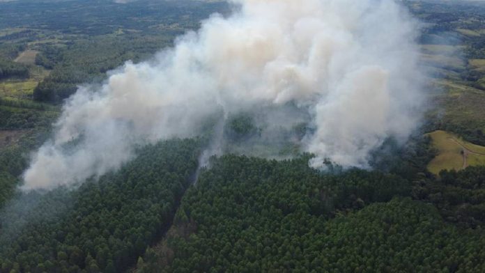 Incendios forestales Smurfit Kappa Colombia Incendios forestales Smurfit Kappa Colombia