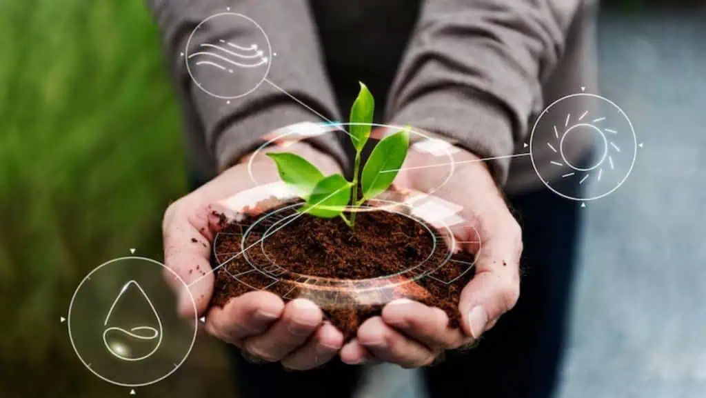 Los retos de la inteligencia artificial en el sector agro en Colombia Sector agro