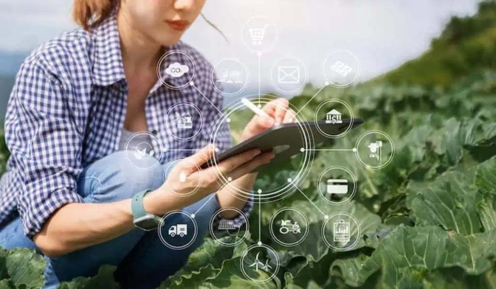 Los retos de la inteligencia artificial en el sector agro en Colombia Leasing agropecuario