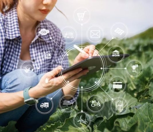 BloomsPal: La ayuda a productores agrícolas a conectar con compradores en el mundo