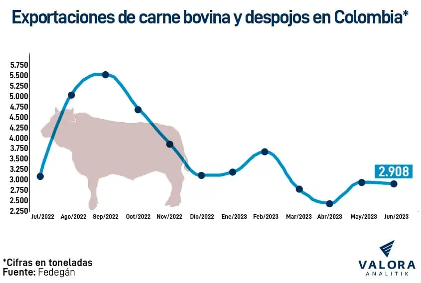Minerva Foods exporta el 91 % de carne de Colombia: estos son los efectos de su salida Exportación de carne en Colombia