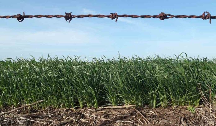 índice de precios Siguió cayendo el precio al productor en julio.