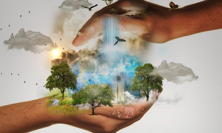 Auren Colombia crea división especializada en litigio ambiental y climático