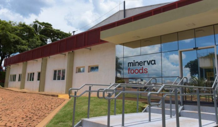 Minerva Foods