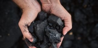 Gobierno Petro celebra cifra histórica de regalías mineras, mientras le da la espalda al carbón térmico