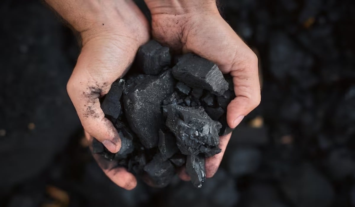 Especial: Minerales Estratégicos | Colombia es un productor de carbón apetecido en el mundo