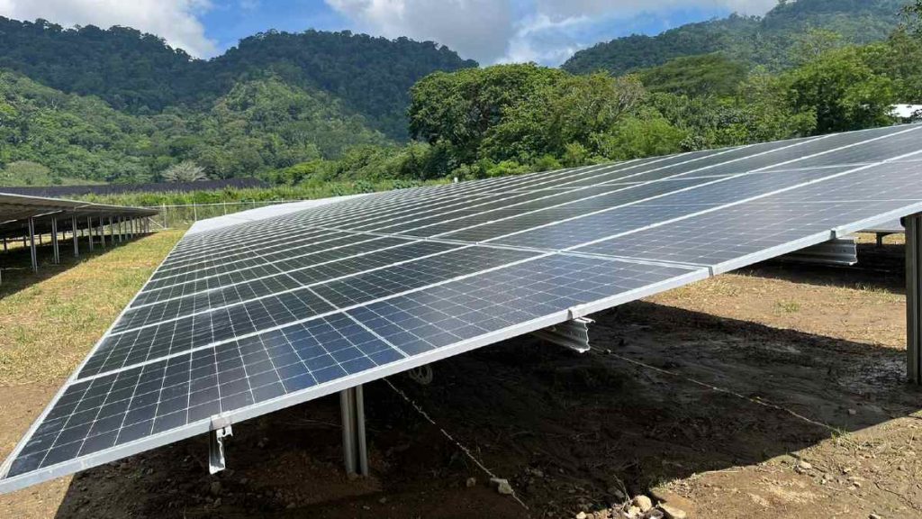 Nuevo parque fotovoltaico mitigará 22 mil toneladas de CO2 al año en Tolima (Colombia)