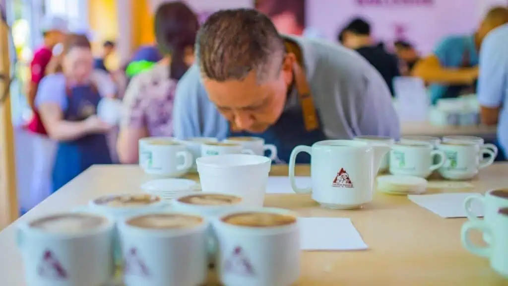 Con la Ficca 2023, Huila busca convertirse en el nuevo Eje Cafetero de Colombia Ficca 2023