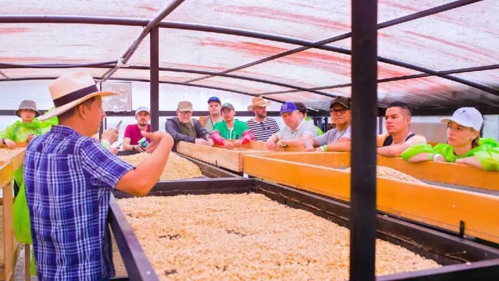 Con la Ficca 2023, Huila busca convertirse en el nuevo Eje Cafetero de Colombia Ficca 2023