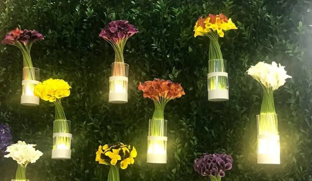 Proflora, una de las principales ferias de flores frescas, celebrará su trigésimo aniversario. Proflora, una de las principales ferias de flores frescas, celebrará su trigésimo aniversario.