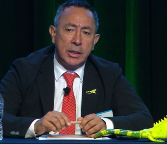 Ricardo Roa, presidente de Ecopetrol