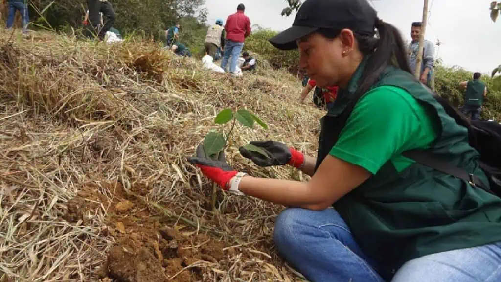 Crecen acciones ambientales en Colombia: así es la Sembratón de Porvenir Sembratón de Porvenir 2
