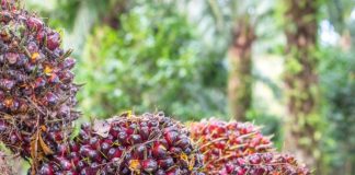 Comercio exterior en Colombia