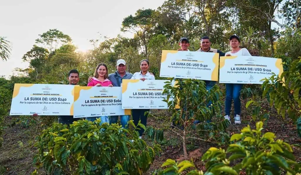 Asómbrate, iniciativa que ha entregado más de $2.000 millones a agricultores por capturar carbono A la fecha, Asómbrate ha entregado más de $2.000 millones a los productores colombianos por capturar carbono. Foto: Solidaridad Network