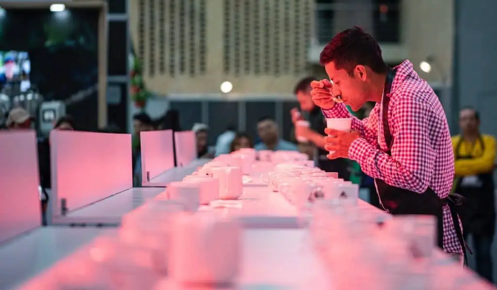 Cafés de Colombia Expo 2023, tendrá catas gratuitas para los visitantes Cafes de Colombia Expo