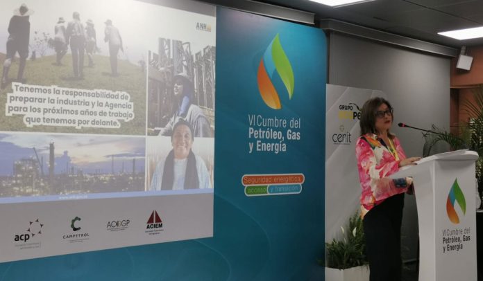 Clara Guatame, presidente de la ANH ANH cambiará de nombre: Será Agencia Nacional de Energía de Colombia