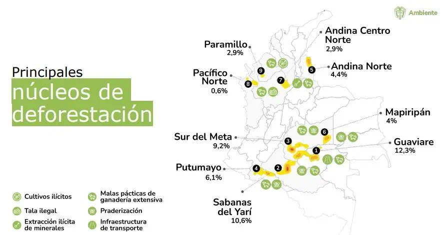 Luces y sombras de los planes para frenar la deforestación en Colombia Deforestación en Colombia